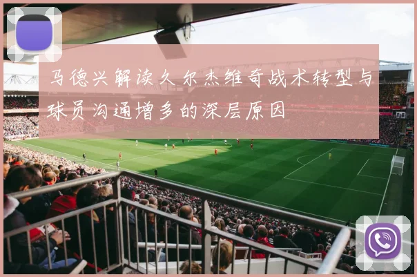 马德兴解读久尔杰维奇战术转型与球员沟通增多的深层原因