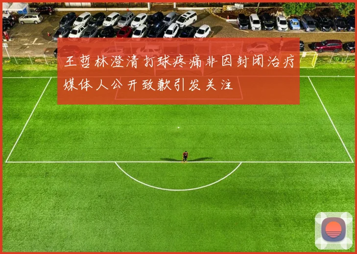 王哲林澄清打球疼痛非因封闭治疗媒体人公开致歉引发关注